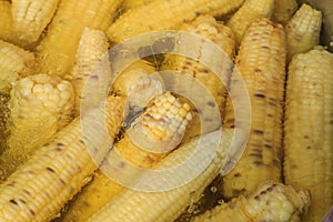 Corn boiling