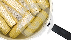 Corn in boiling water in pan close up on white background