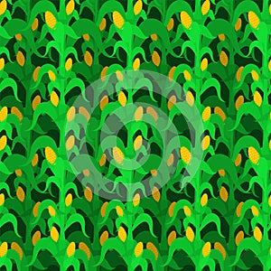 Corn bush pattern seamless. Cornfield background. Baby fabric texture