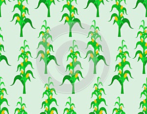 Corn bush pattern seamless. Cornfield background. Baby fabric texture