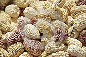 Corn, Chivay, Peru