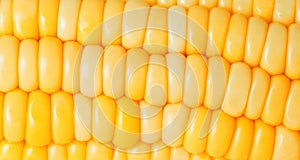 Corn closeup