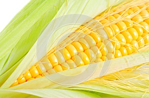 Corn cob