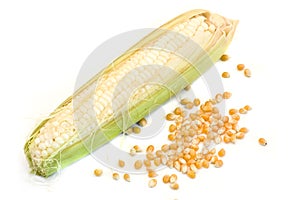 Corn cob