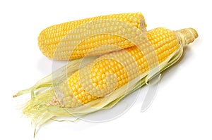 Corn cob