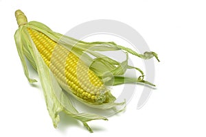 Corn Cob 2