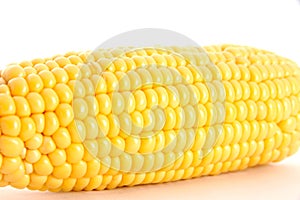 Corn on the Cob