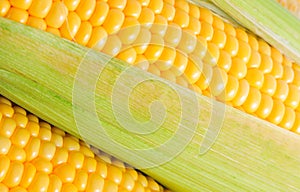 Corn cob