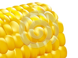 Corn cob