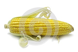 Corn Cob