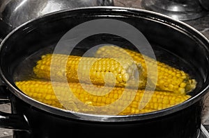 Corn on the cob boiling in a pot