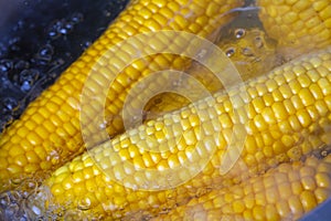 Corn on the cob boiling in a pot