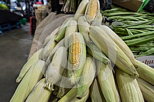 Corn on the cob at Borough Market in London, UK photo