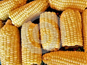 Corn on the Cob Broken in Halves