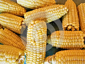 Corn on the Cob Broken in Halves