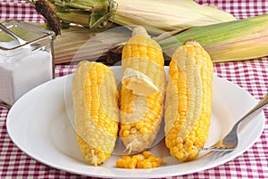 corn on the cob with butter and salt