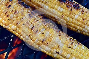 Corn on the Cob Charring on the Grill