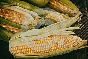 Corn cob Cintage Rerto Style photo