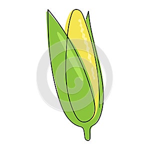 The corn cob is drawn as a single solid line. Delicious yellow corn. The object is drawn with a single line in the