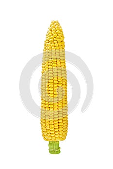 Corn cob or ear isolated on white background with clipping path