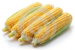 Corn on the Cob Fresh Vegetable Isolated