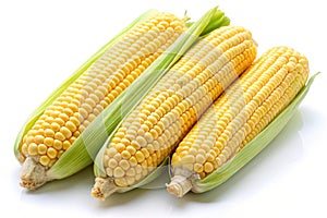 Corn on the Cob Fresh Vegetable Isolated