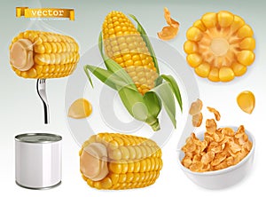 Corn cob, grains, corn flakes. Set vector elements. Package design