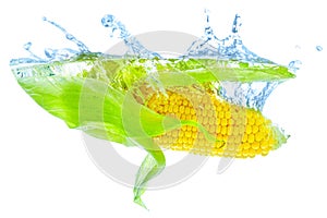 Corn Cob with Green Leaves Dropped Underwater with Splashes