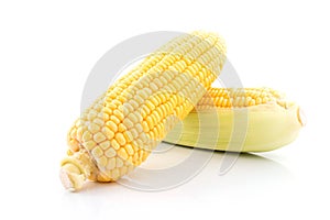 corn cob isolated on white background with. with green leaves