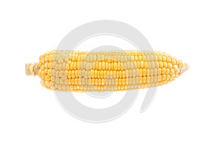 corn cob isolated on white background with. with green leaves