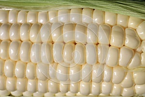 Corn on the Cob Kernels