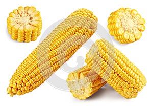 Corn Clipping Path isolated on white background