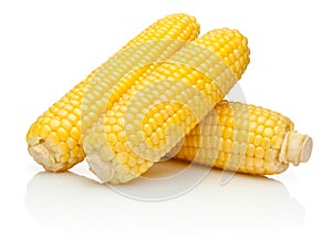 Corn on the cob kernels peeled isolated on white background