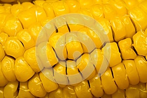 Corn Cob Macro
