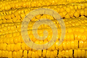 Corn Cob Macro