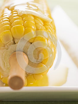 Corn on the Cob with Melted Butter