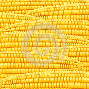 Corn cob. Organic food pattern.