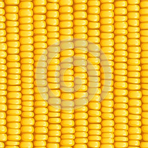 Corn cob. Organic food seamless pattern.