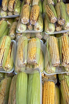 Corn cob packages at the wholesale market stall photo
