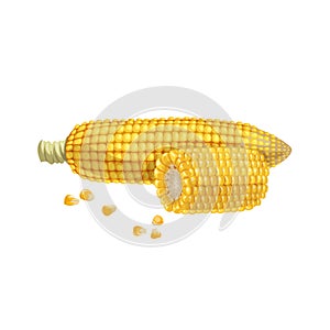 A corn cob with quarter of cob and seeds. Cartoon trendy style. Maize. Bright ripe vegetable. Vector illustration isolated on whit