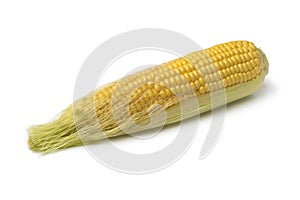 Corn on the cob with corn silk