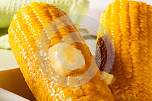 Corn on the Cob