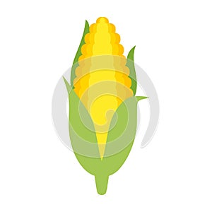 Corn cob vector clipart cartoon. Corn cob with leaves.