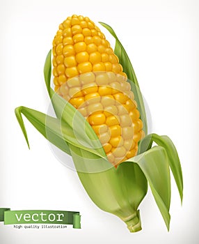 Corn cob. Vector icon