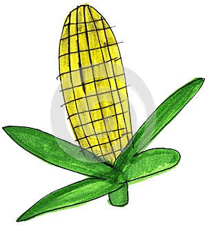 Corn on the Cob Whimsical Illustration