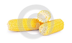 Corn on the cob on a white background photo