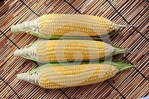 Corn cob