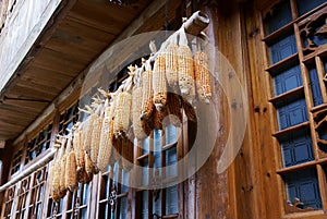 Corn cob with wooden house