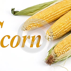 Corn on the cob and the word corn isolated on white background