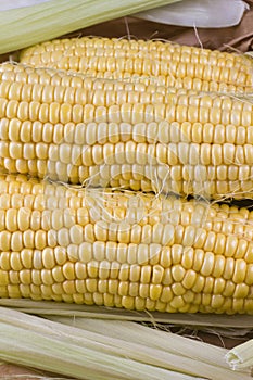 Corn cobs